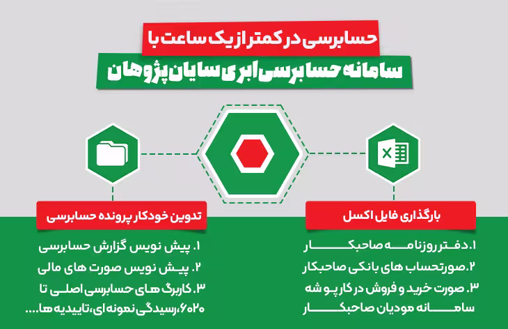 Financial Audit System